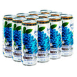 Arizona-Blueberry-White-Tea-22oz-24ct