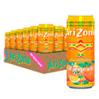 Arizona-Orangeade-22oz-24ct